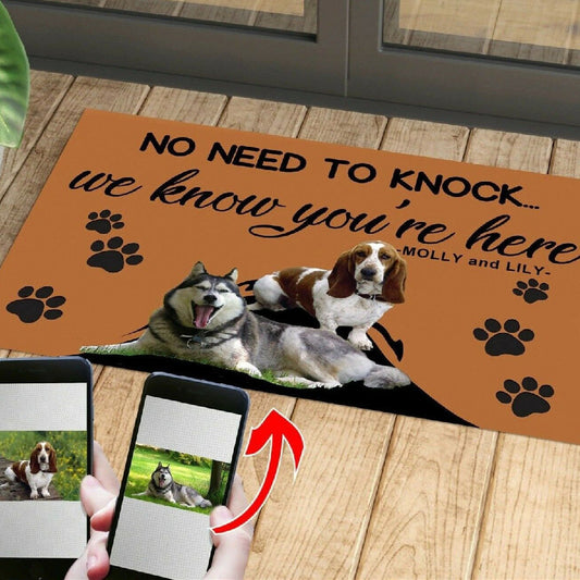 Customized Pet Entrance Mat